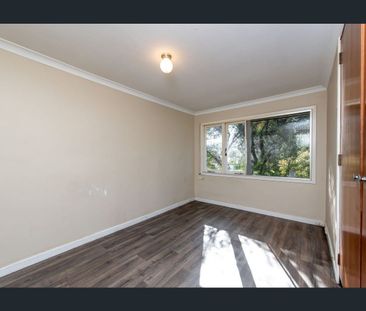 Pet Friendly Family Favourite - Photo 2