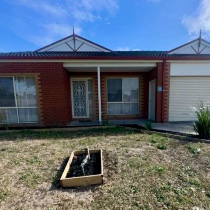 Spacious 4-Bedroom Family Home in Cranbourne - Photo 1