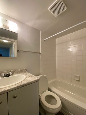 1 Bedroom Lower-Level Suite in Bankview – Available Immediately - Photo 4