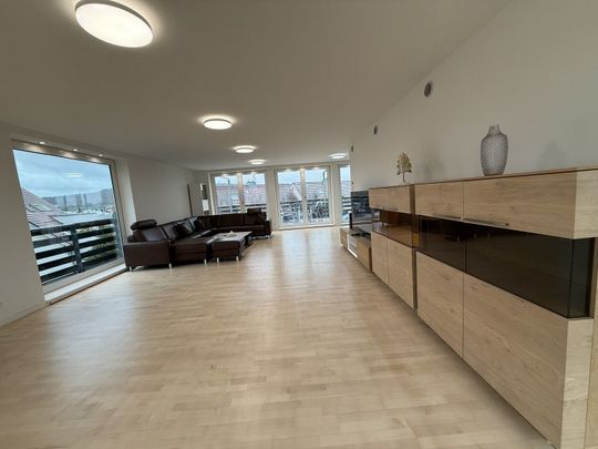 Exclusive 300 m² penthouse apartment with private elevator, access to Wallisellen - Photo 1