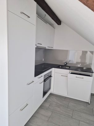 beautiful penthouse apartment with balcony - Photo 1