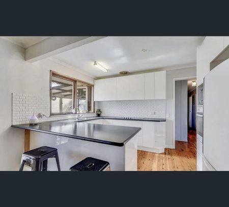 9 Jarndyce Avenue, Ambarvale, NSW 2560 - Photo 2