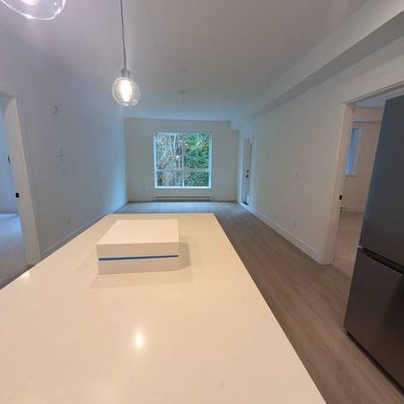 brand new 2025 built, 2 bed 2 bath condo - Photo 4