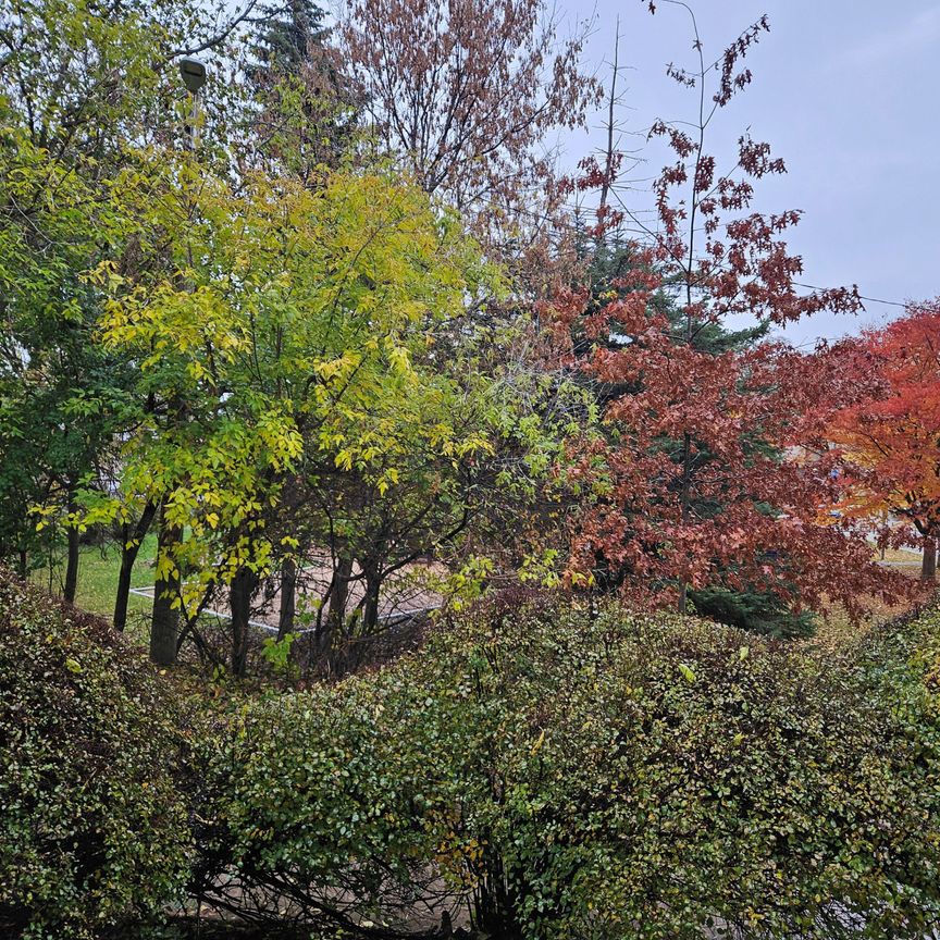 For Lease - 450 Arlington Avenue Unit# 7, Toronto, Ontario - Photo 1