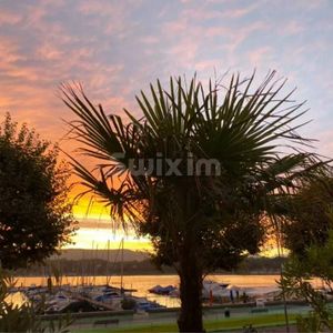 RARE ! Apartment for rent in the center of Geneva with large terrace View of the water jet - Photo 2