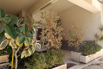 Apartamento T2 Remodelado e Mobilado no Moinho das Antas