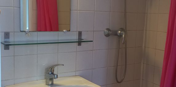 Location Appartement 1 pièce 17m² STRASBOURG 67000 - Photo 2