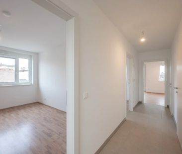 Go2Eisenstadt! Freundliche, helle 3 Zimmer Erstbezugswohnung + Balk... - Photo 6
