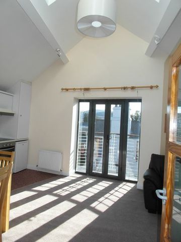 South Lotts Road, Dublin 4 - Photo 5