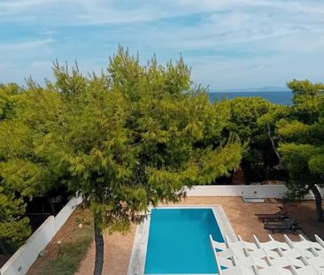 Μονοκατοικία για ενοικίαση Βραυρώνα (Μαρκόπουλο) - Photo 3