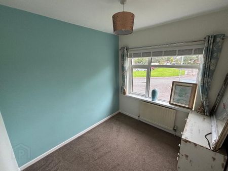 17 Backwood Road, Moira, BT67 0LJ - Photo 4