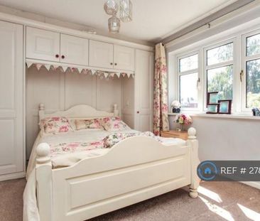 3 bedroom terraced house to rent - Photo 5