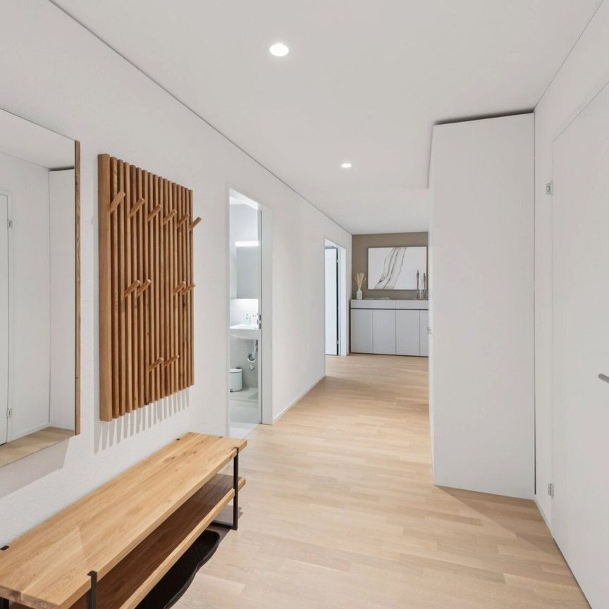 Furnished apartments with Madrid charm in the largest shopping center in Switzerland - Photo 1