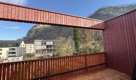 Wunderschöne Neubau-3-Zimmer-Wohnung mit großer Dachterrasse im Zentrum von Hohenems - Photo 2