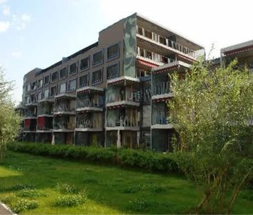 6.5 Zimmer, 143 m², 1. Stock - Foto 6