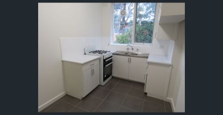 Light Filled 1 BEDROM APARTMENT! - Photo 2