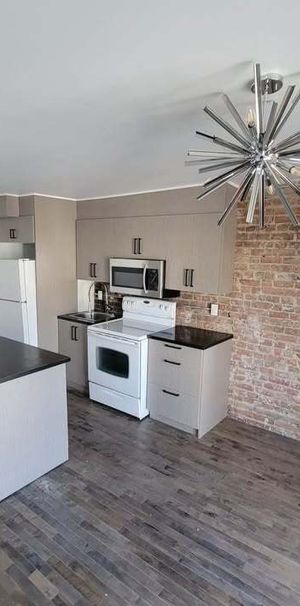 Hochelaga - Superbe 3 1/2 Au 2e Étage - Photo 1