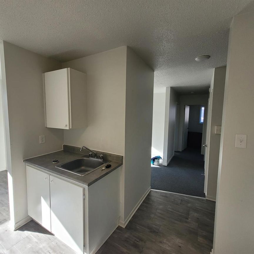 15 Rue D'Orléans (Gatineau) Super Appartement 4 1/2 - Photo 1