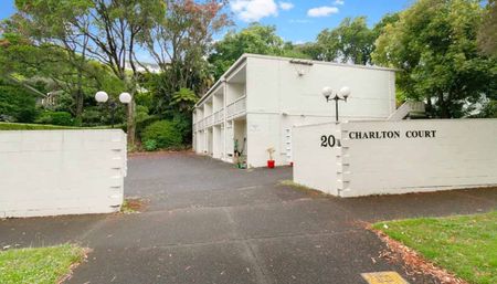 Sunny One Bedroom Studio In Mt Eden - Photo 5