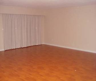 Large Renovated One Bedroom Suite in Mt Pleasant (Main & 12th) - Photo 2