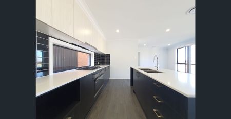 The One That You Want! - Photo 5