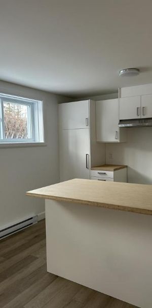 4 1/2 - Deux-Montagnes - 1 700 $/mois - Photo 1