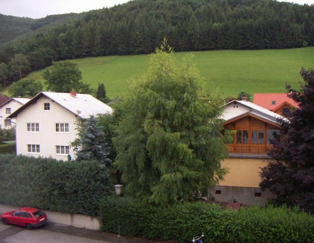 15248- Gepflegte 3-Zimmer Wohnung in Lilienfeld zu vermieten! - Photo 1