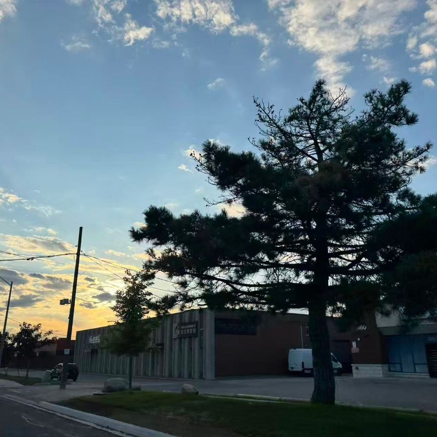 For Lease - 50 Morecambe Gate Unit# B310, Toronto, Ontario - Photo 1