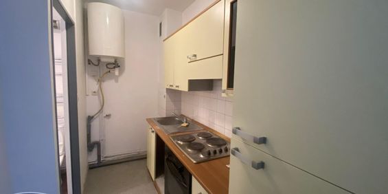 Location Appartement 2 pièces 33m² GRENOBLE 38000 - Photo 3