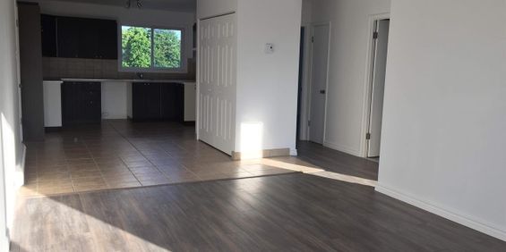 Ste-Foy Grand 4 1/2 Rénové, Près Tout Services - Photo 3