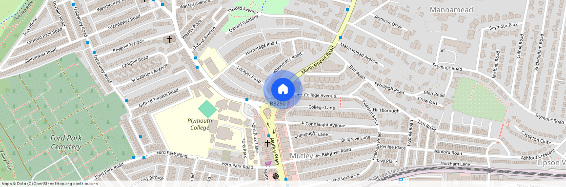 College Avenue, Mannamead, Plymouth