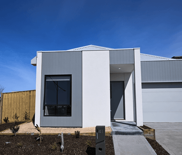 New Contemporary Home with Club Coridale Access Included - Photo 6