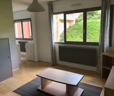 Location Appartement 1 pièce 23m² LE CREUSOT 71200 - Photo 6