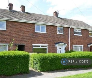 3 bedroom terraced house to rent - Photo 5