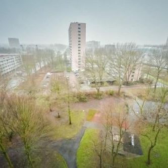 H. Cleyndertweg, 1025 Amsterdam, Nederland - Foto 1