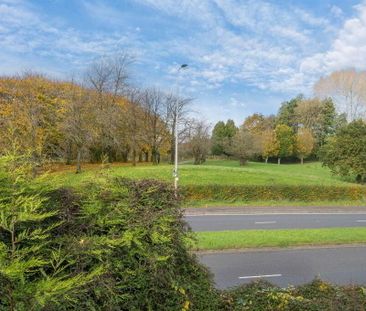 23 Hawthornden Drive, Belfast, BT4 2HG - Photo 2