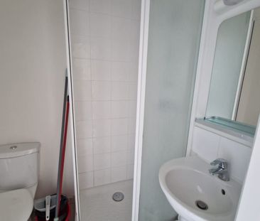 Location Appartement 1 pièce 20m² LYON 7ème - Photo 5