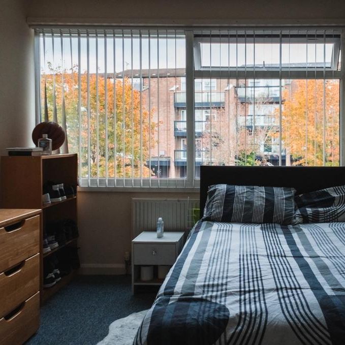 2 bedroom house to rent - Photo 1