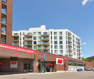 5455 Rue de Terrebonne Montréal (Côte-des-Neiges, QC H4A - Photo 5