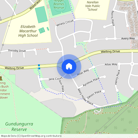 1a Mary Howe Place, NSW 2567, Narellan Vale