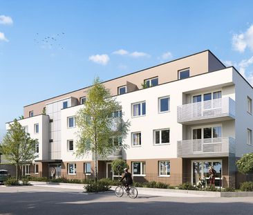 SCHEIBBS XXIII/1 - Foto 5