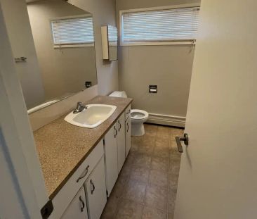 7715 159st — Bi-Level 2 Bedroom One Bath - Photo 2