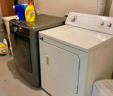 For Lease - 3 Beattie Street Unit# Basement, Guelph, Ontario - Photo 5