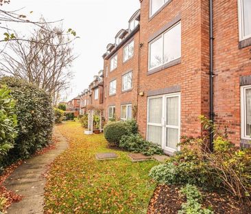 1 Bedroom Apartment - Photo 2