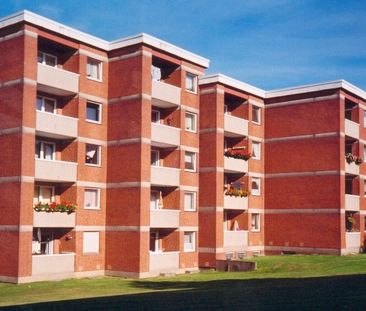 Demnächst frei! 1-Zimmer-Wohnung in Detmold Kreishaus - Foto 1