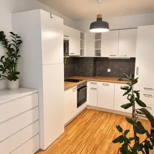 Ab 1. Dezember Helle 2-Zimmer-Wohnung mit großer Innenhof-Terrasse, an U2 - Photo 2