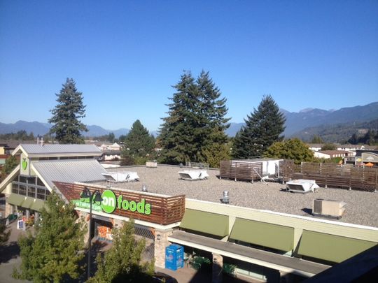 CAROLINE APTS - 310 - CA310 - Photo 1