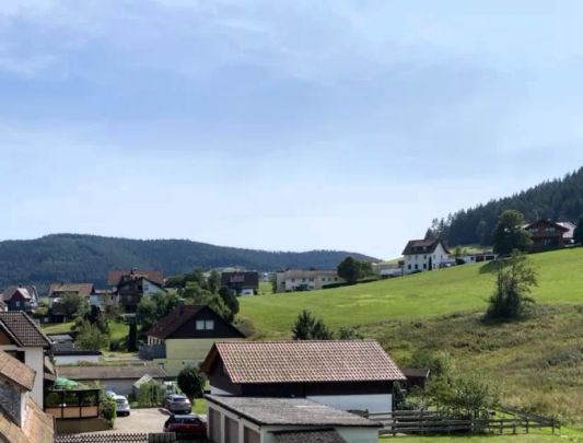 Kleine und gemütliche 2-Zimmer Single-Wohnung im Tonbachtal - Photo 1