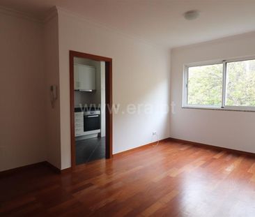 Apartamento T1 em Ilha da Madeira - Photo 6
