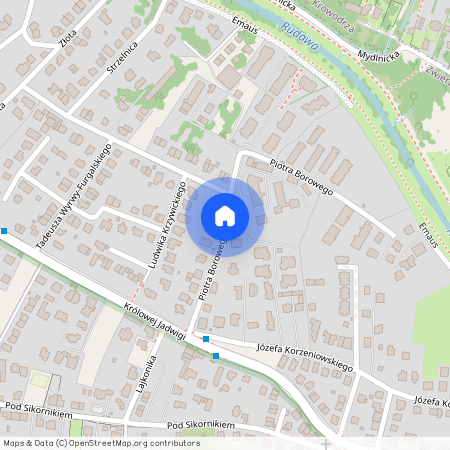 ul. Piotra Borowego, Zwierzyniec, Zwierzyniec, Kraków, małopolskie